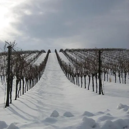 Проживание в семье Weingut - Gastezimmer Zum Schwalbennest Herrnbaumgarten
